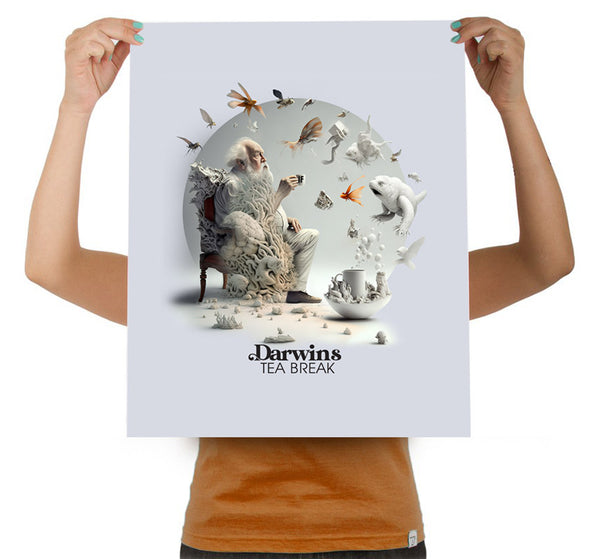 Darwins Tea Break Grey 16" X 20" Art Print