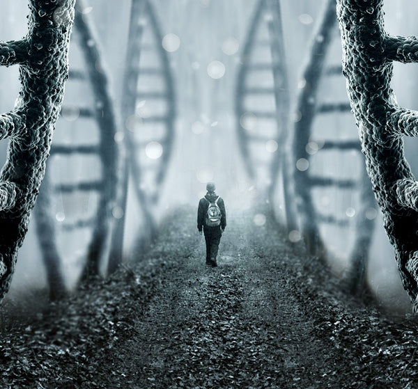 DNA Forest Art Print