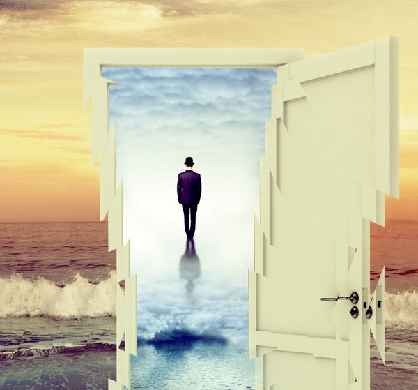 The Transition Art Print