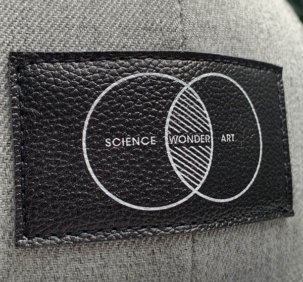 Science Art Wonder Snapback Hat